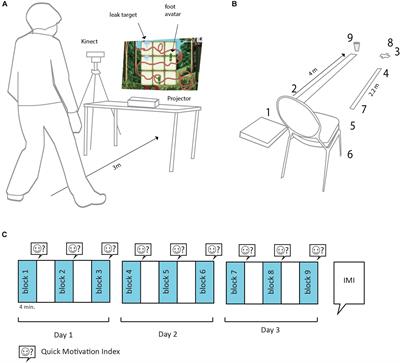 Gamification as a Sustainable Source of Enjoyment During Balance and Gait Exercises